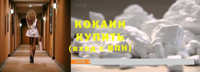 Cocaine Fish Scale  OMG ссылка  Советская Гавань 